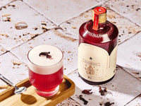 Björn Glas 300ml LINJE - 6 Stück kaufen Bjorn Schweiz Webshop Onlineshop