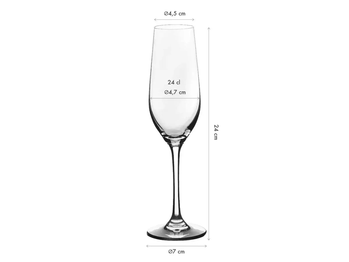 Björn Sektflöte 220ml LAGOM - 6 Stück kaufen Bjorn Schweiz Webshop Onlineshop